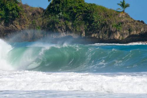 28279109 10155914484496839 7411000641784343532 n (1)